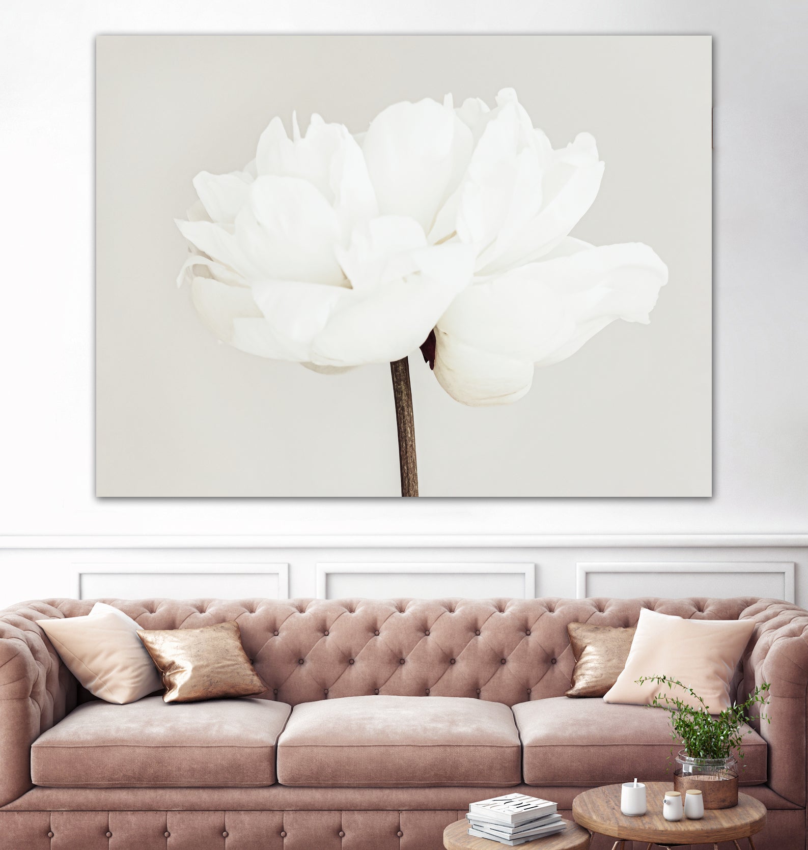 Peony 11 by Pictufy Studio III on GIANT ART - photography flower