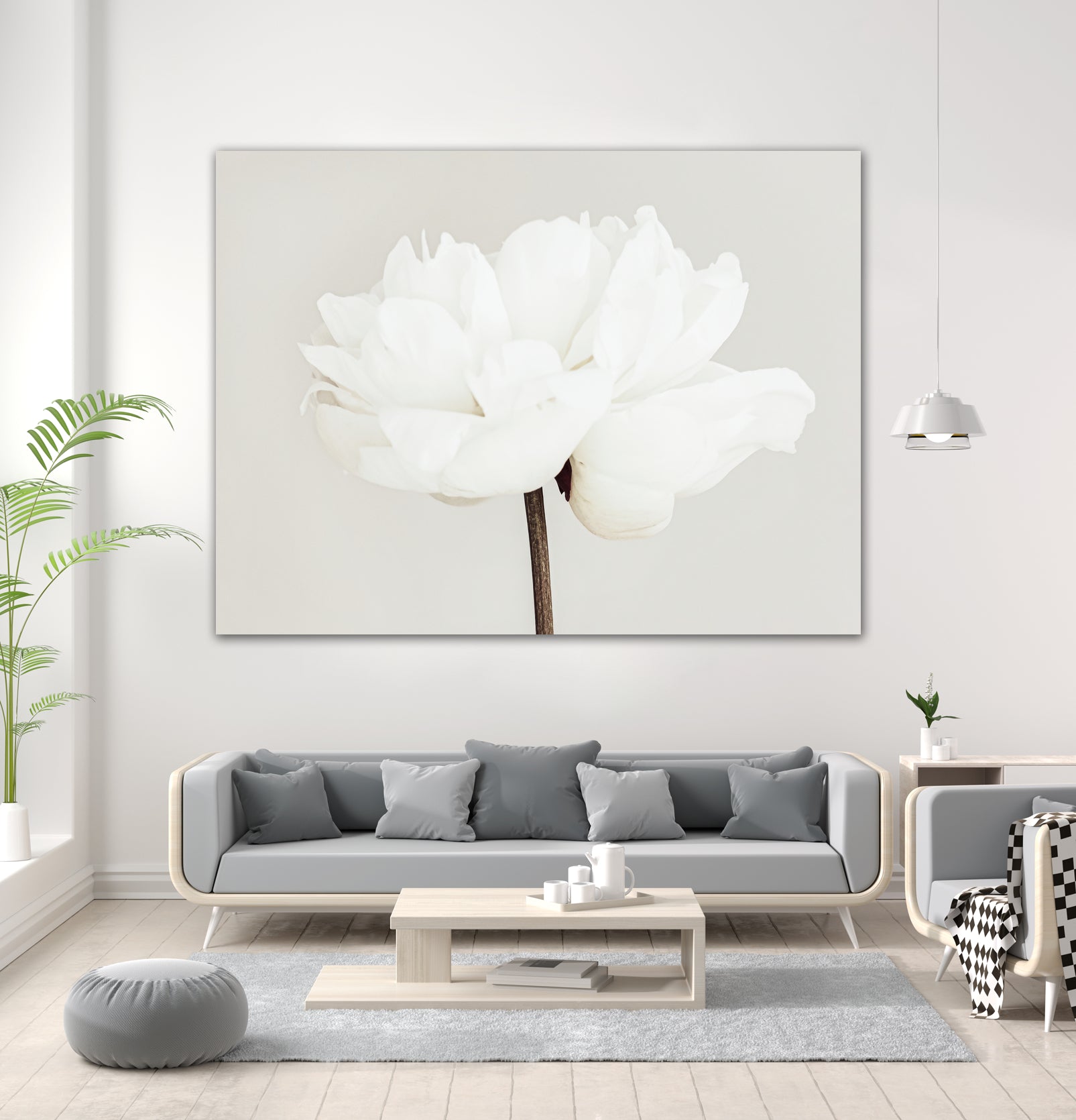 Peony 11 by Pictufy Studio III on GIANT ART - photography flower