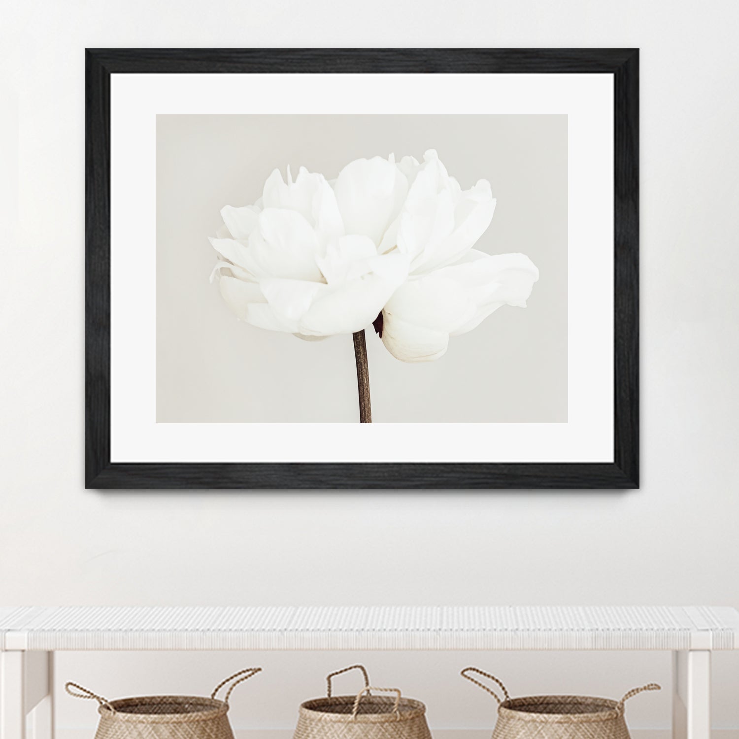 Peony 11 by Pictufy Studio III on GIANT ART - photography flower