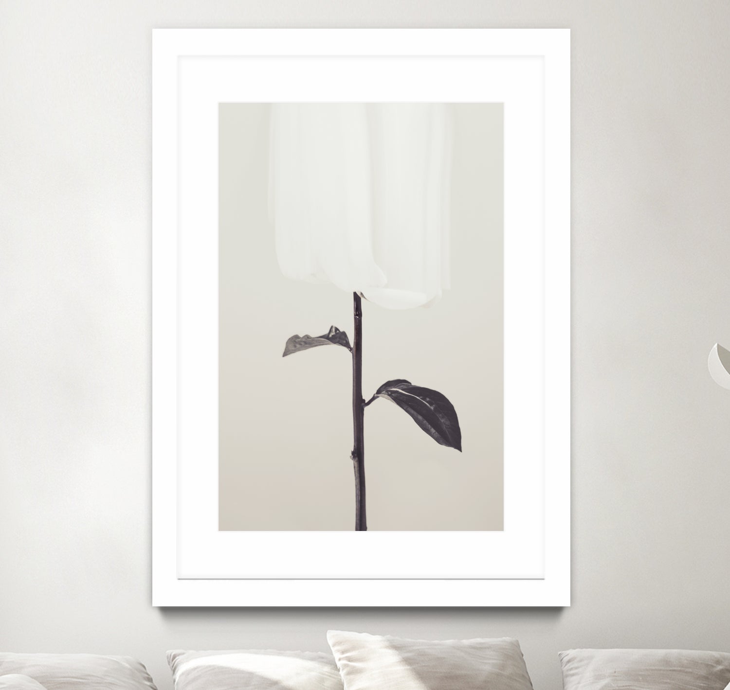 Peony 18 by Pictufy Studio III on GIANT ART - creative edit flower