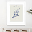 Filles de la mer n.2 - La conchiglia by Giulia Mora on GIANT ART - blue costal  mora