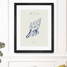 Filles de la mer n.2 - La conchiglia by Giulia Mora on GIANT ART - blue costal  mora