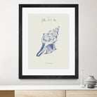 Filles de la mer n.2 - La conchiglia by Giulia Mora on GIANT ART - blue costal  mora