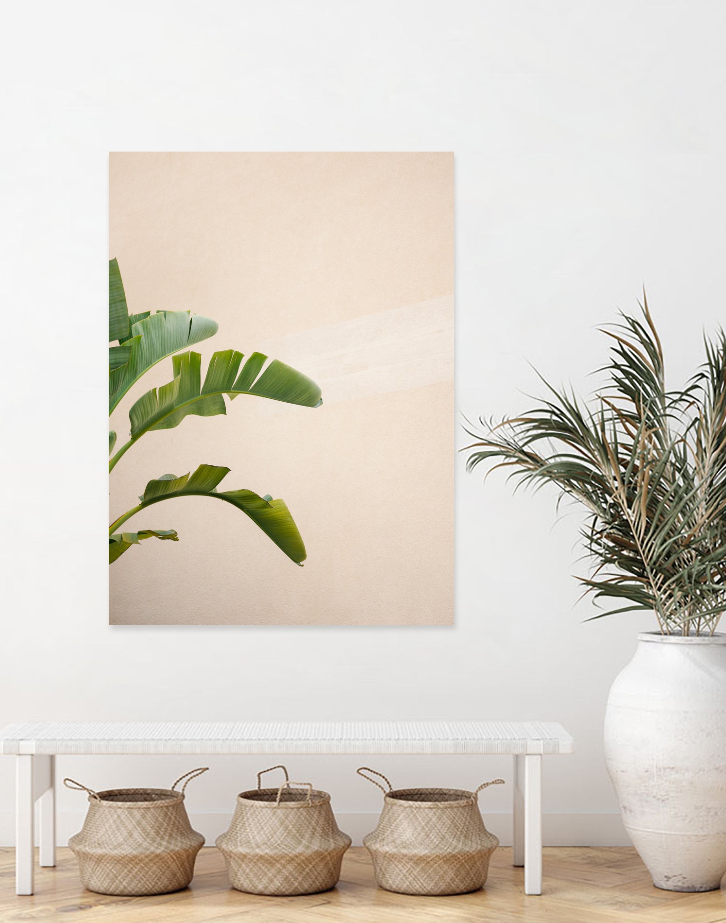 Cannes Banana Plant by Raisa on GIANT ART - photography banana