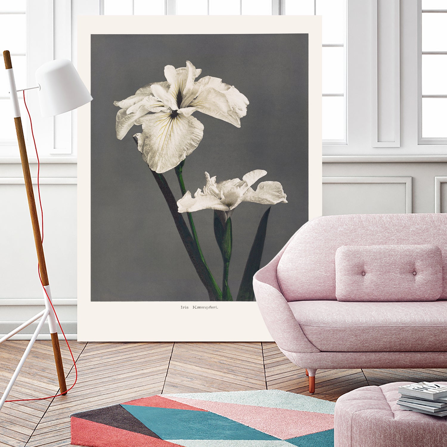 Iris KAbmpferi by Pictufy on GIANT ART -