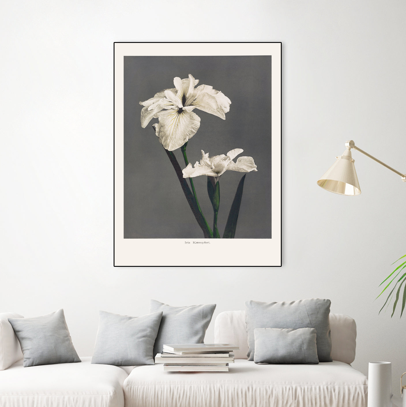 Iris KAbmpferi by Pictufy on GIANT ART -