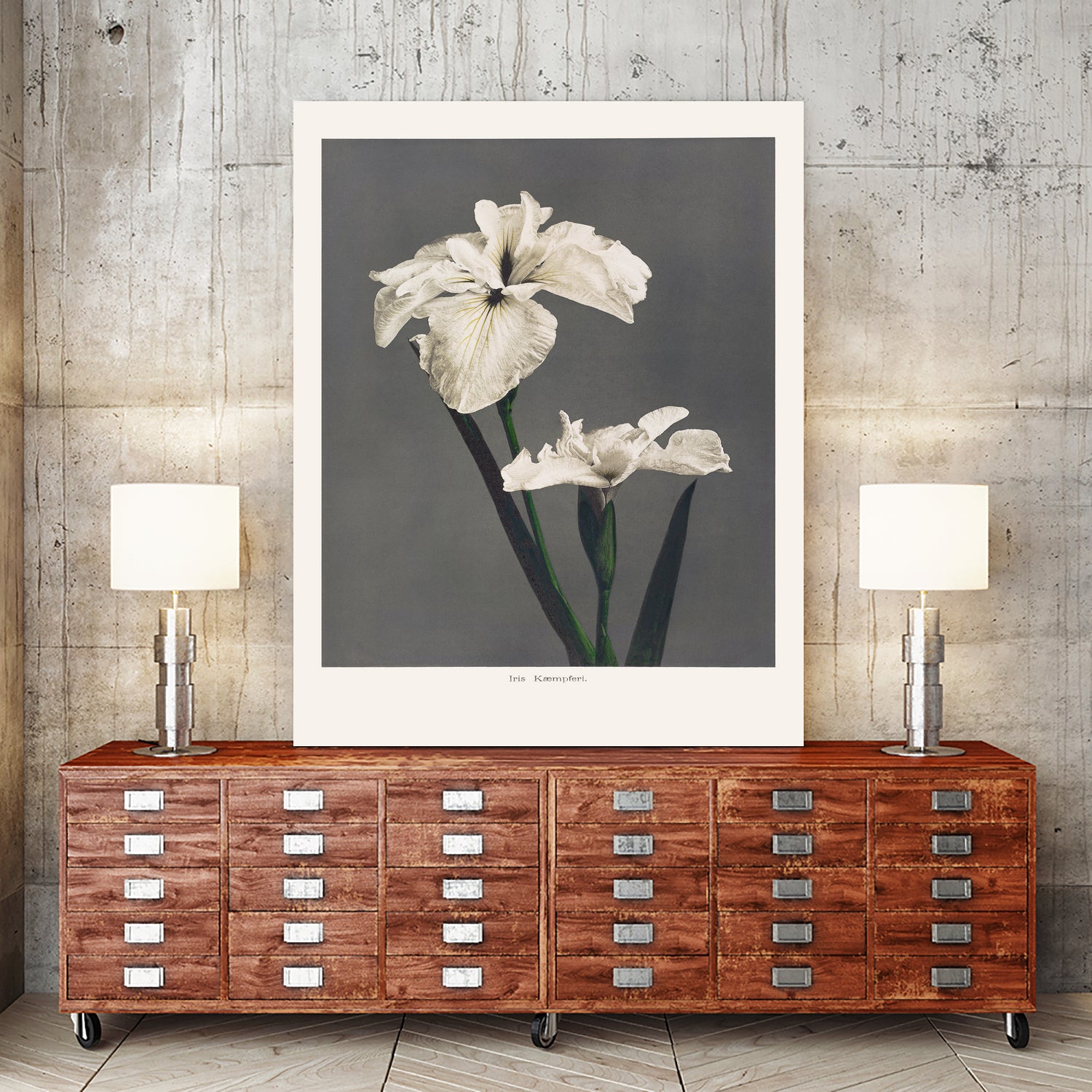 Iris KAbmpferi by Pictufy on GIANT ART -