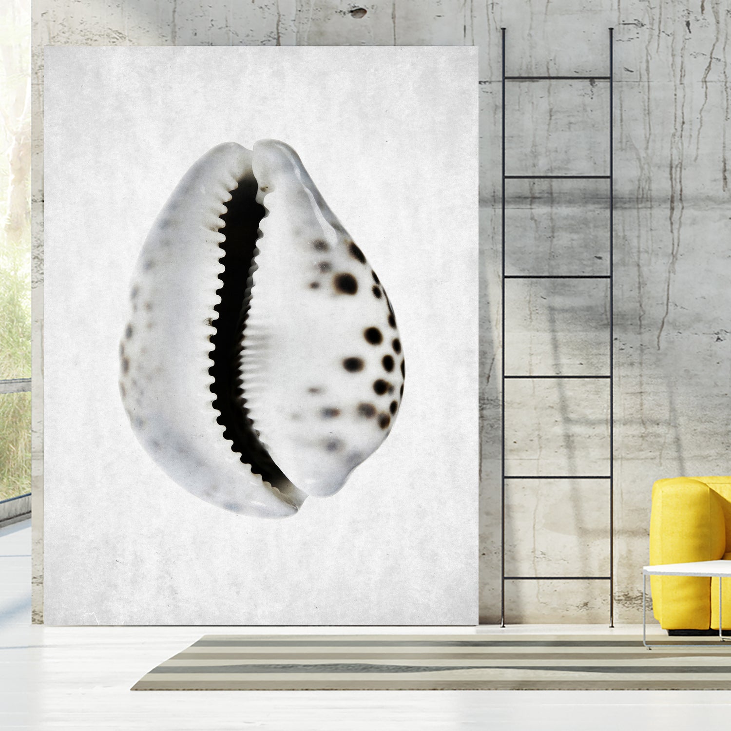 Spring Tide by Shot by Clint on GIANT ART - macro seashell art