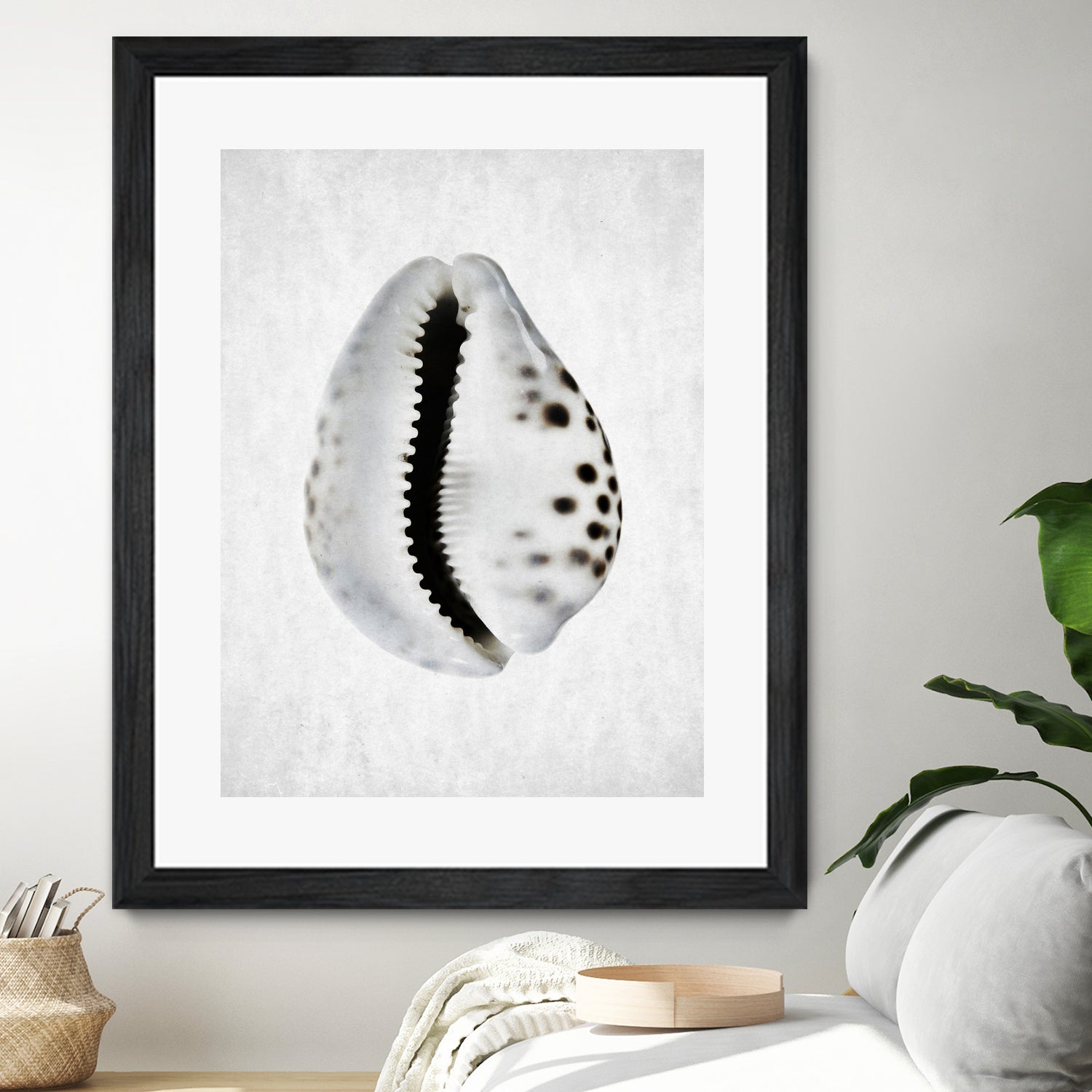 Spring Tide by Shot by Clint on GIANT ART - macro seashell art