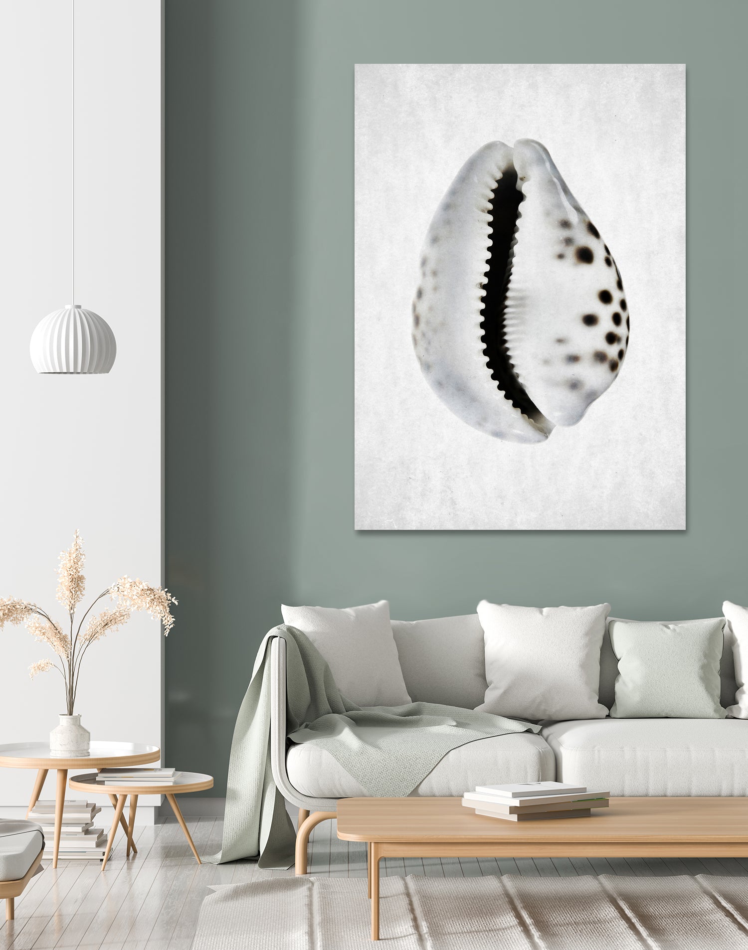 Spring Tide by Shot by Clint on GIANT ART - macro seashell art