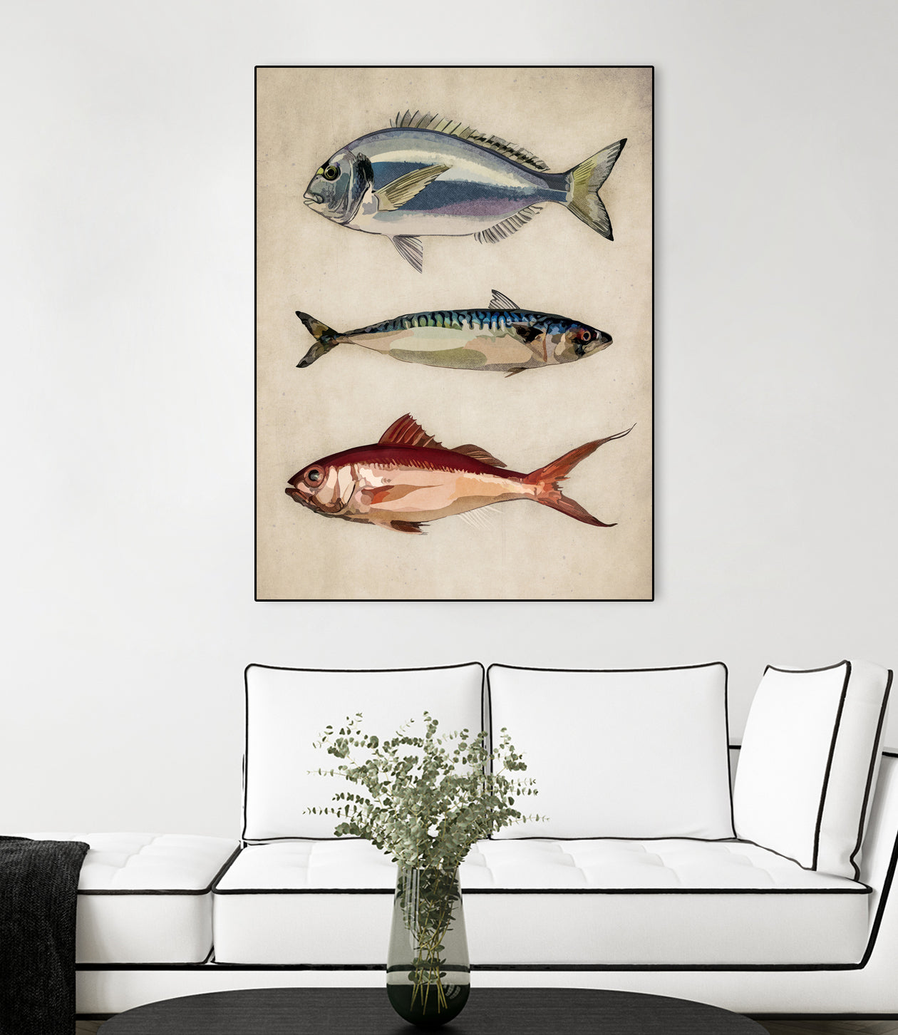 Trio of Ocean Life by Emel Tunaboylu on GIANT ART - animals vintage fish illustration
