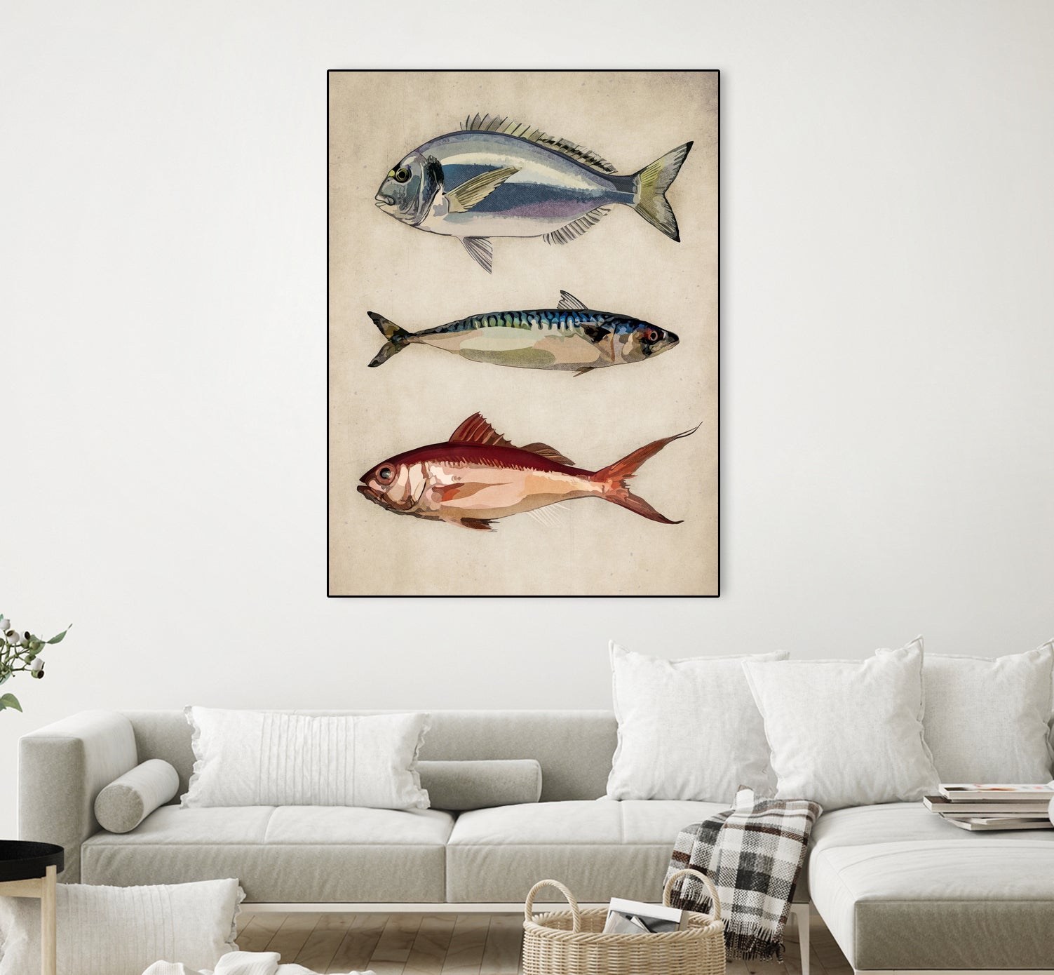 Trio of Ocean Life by Emel Tunaboylu on GIANT ART - animals vintage fish illustration