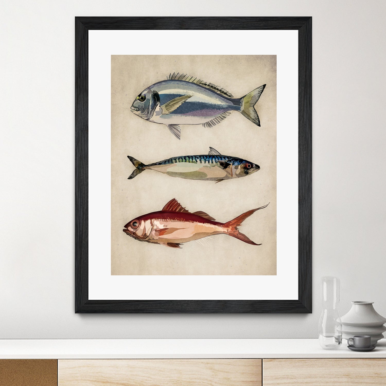 Trio of Ocean Life by Emel Tunaboylu on GIANT ART - animals vintage fish illustration