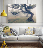 Fanal 05 by Walter Lackner on GIANT ART - landscape spain