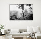 Trees in misty forest by Photolovers on GIANT ART - photograhy forest