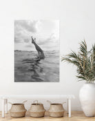 Ocean Dive by Bethany Young on GIANT ART - landscape sky