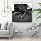 Windswept Tree by Injidup Western Australia on GIANT ART - black and white mark