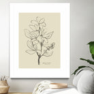 Floral 1 by Dan Hobday on GIANT ART - flowers and plants sketch