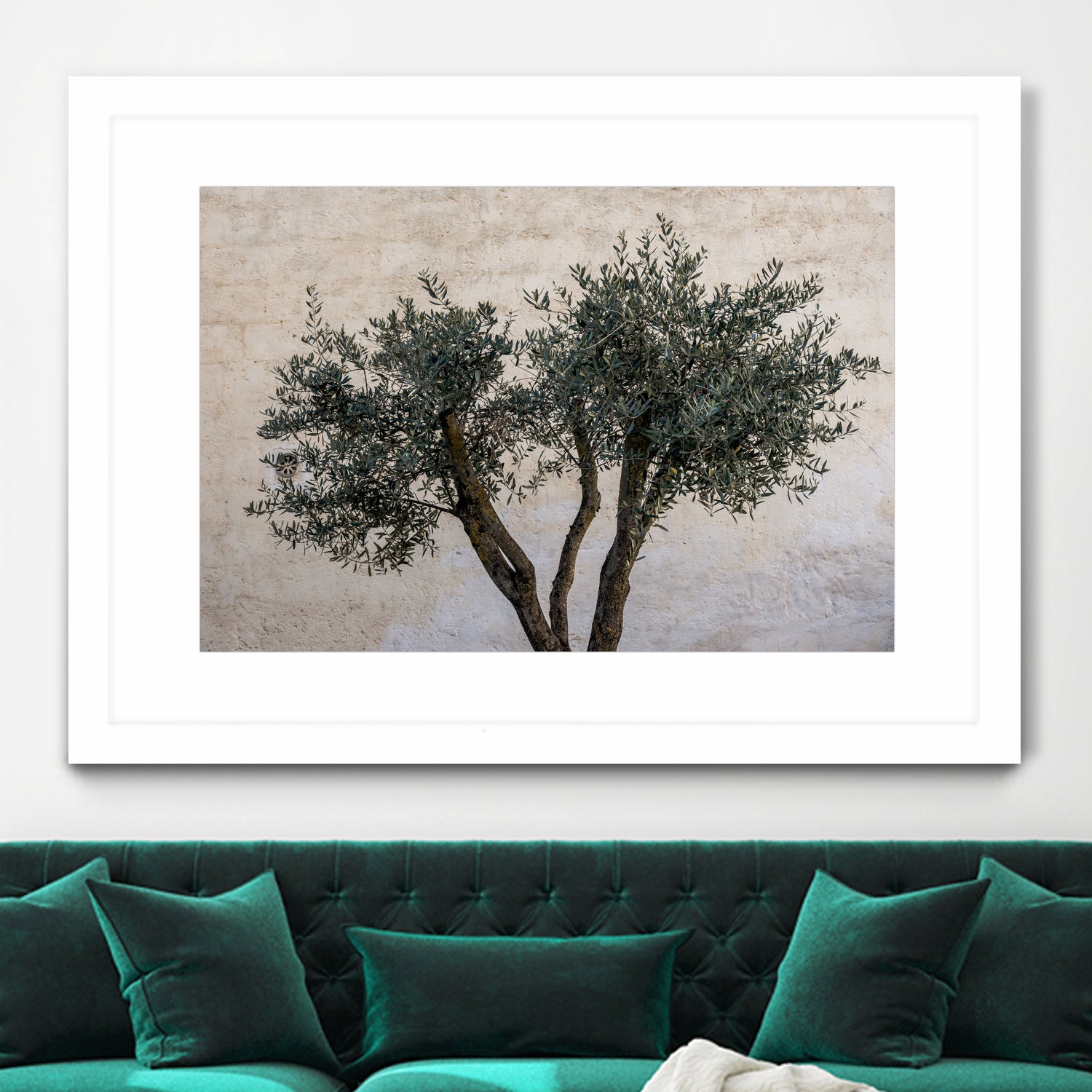 Olive Trees by Photolovers on GIANT ART - landscape plant