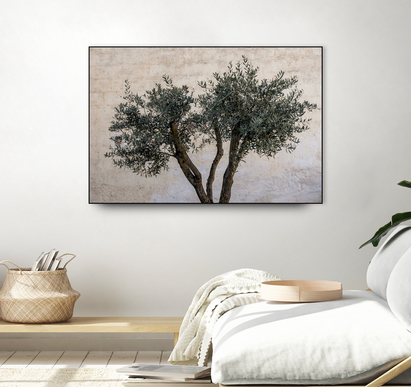 Olive Trees by Photolovers on GIANT ART - landscape plant