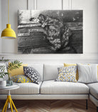 Geesje Kwak - 25-08-21 by Corne Akkers on GIANT ART - black figuative women sleeping