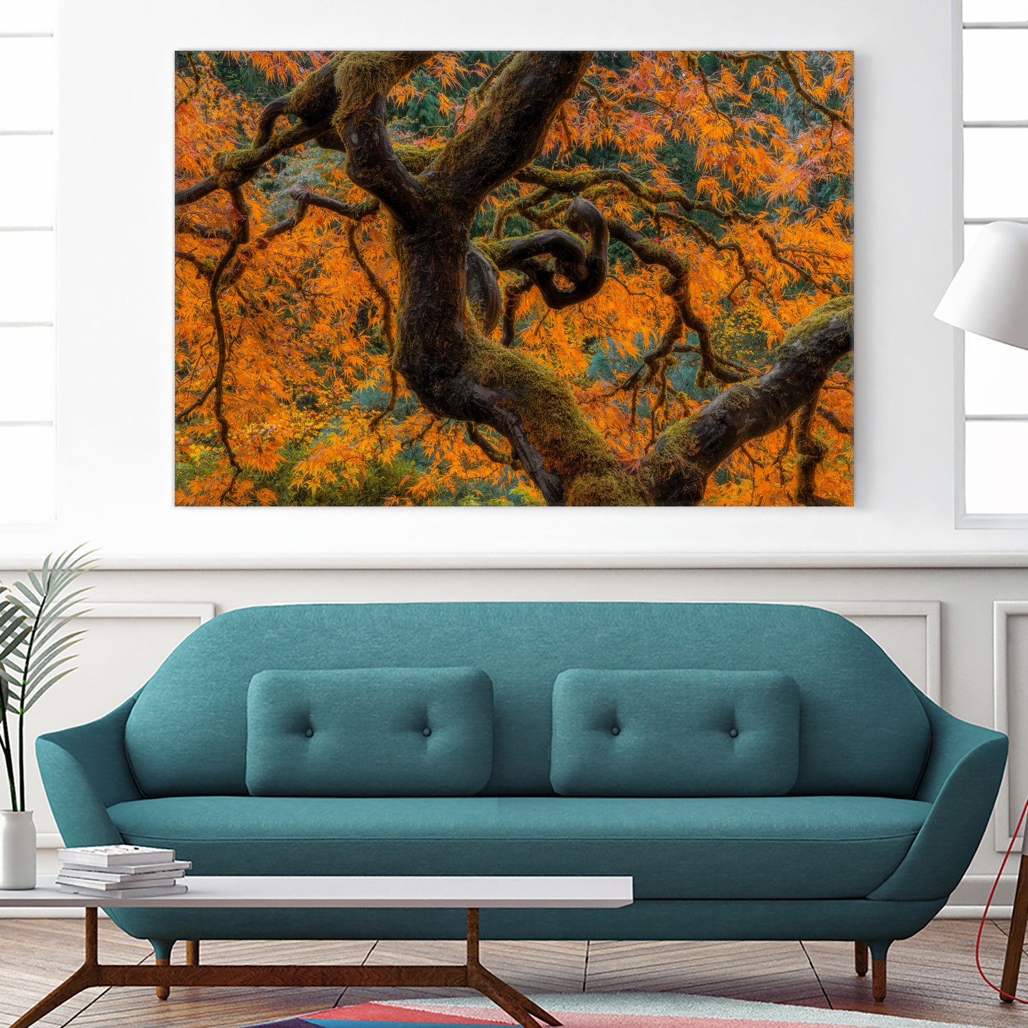 Golden Ratio by Junhao Wang on GIANT ART - orange botanical orange