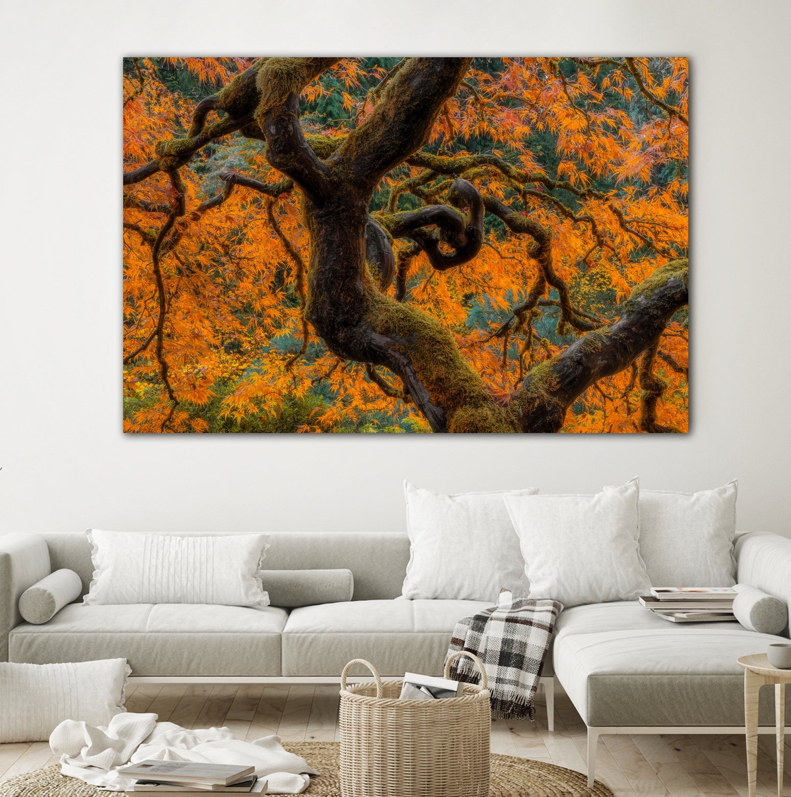 Golden Ratio by Junhao Wang on GIANT ART - orange botanical orange