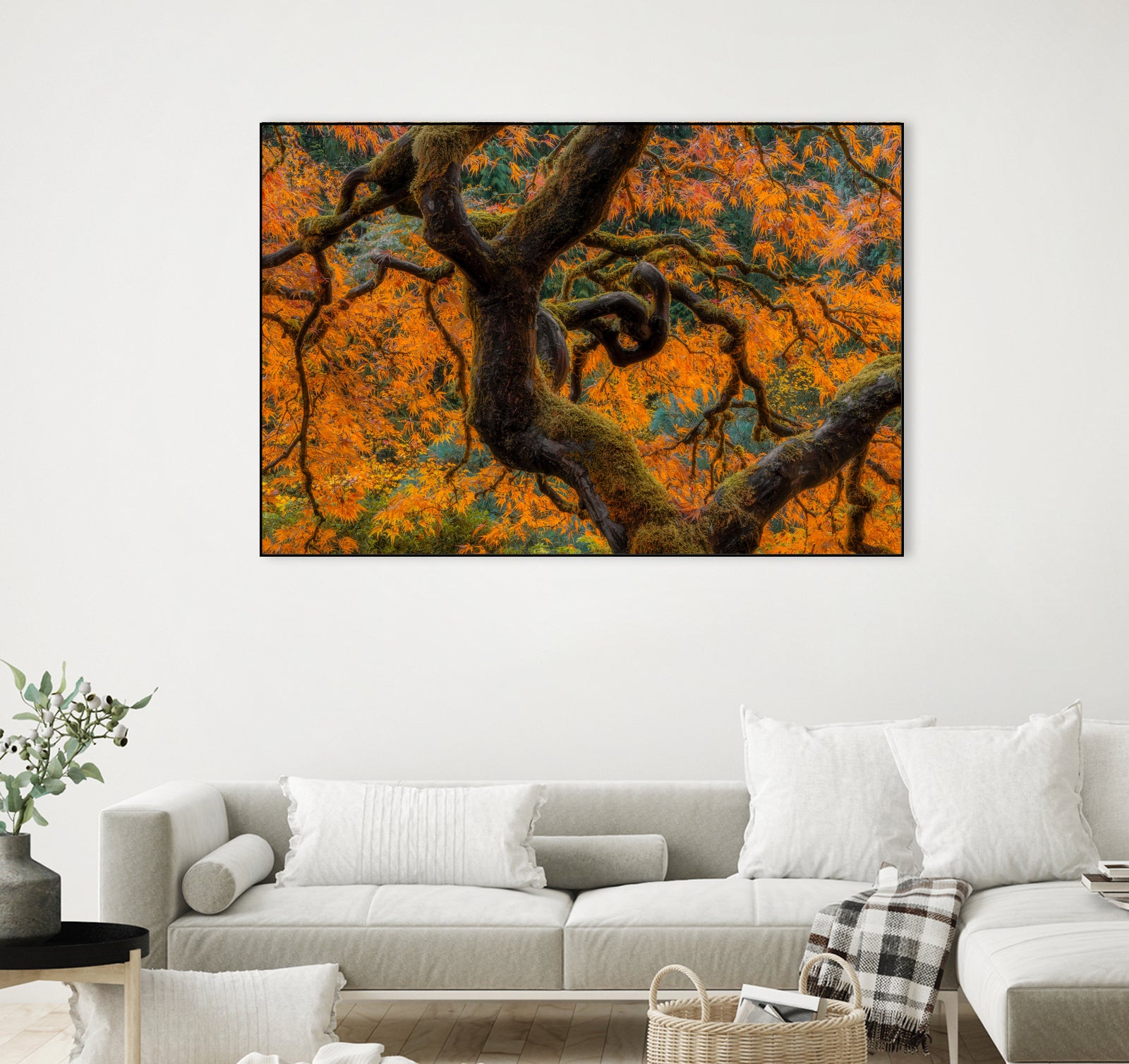 Golden Ratio by Junhao Wang on GIANT ART - orange botanical orange