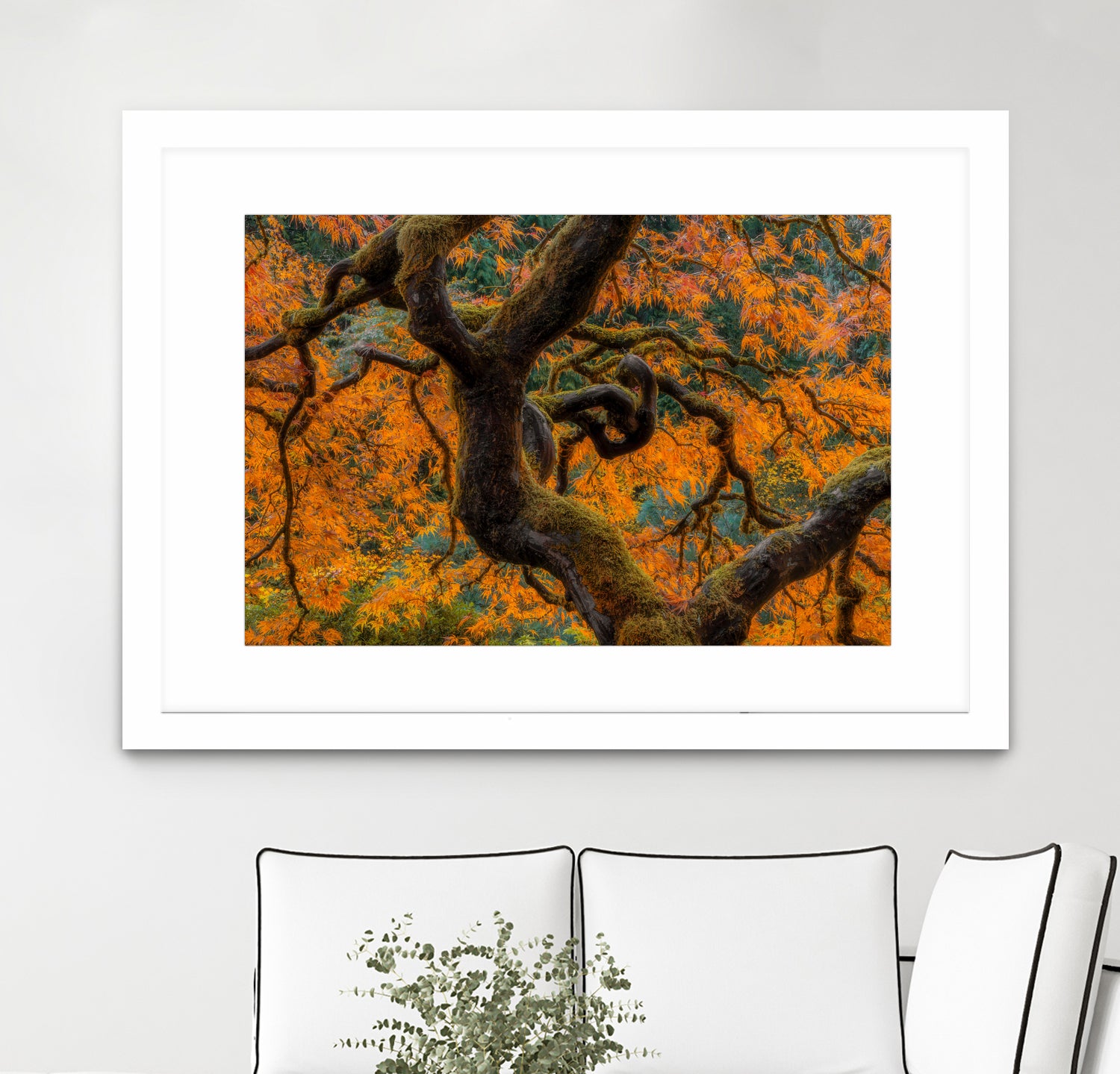 Golden Ratio by Junhao Wang on GIANT ART - orange botanical orange