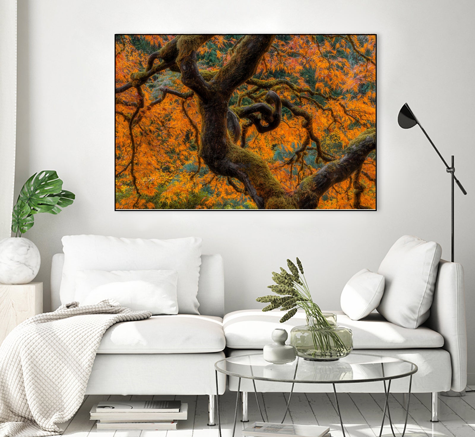 Golden Ratio by Junhao Wang on GIANT ART - orange botanical orange