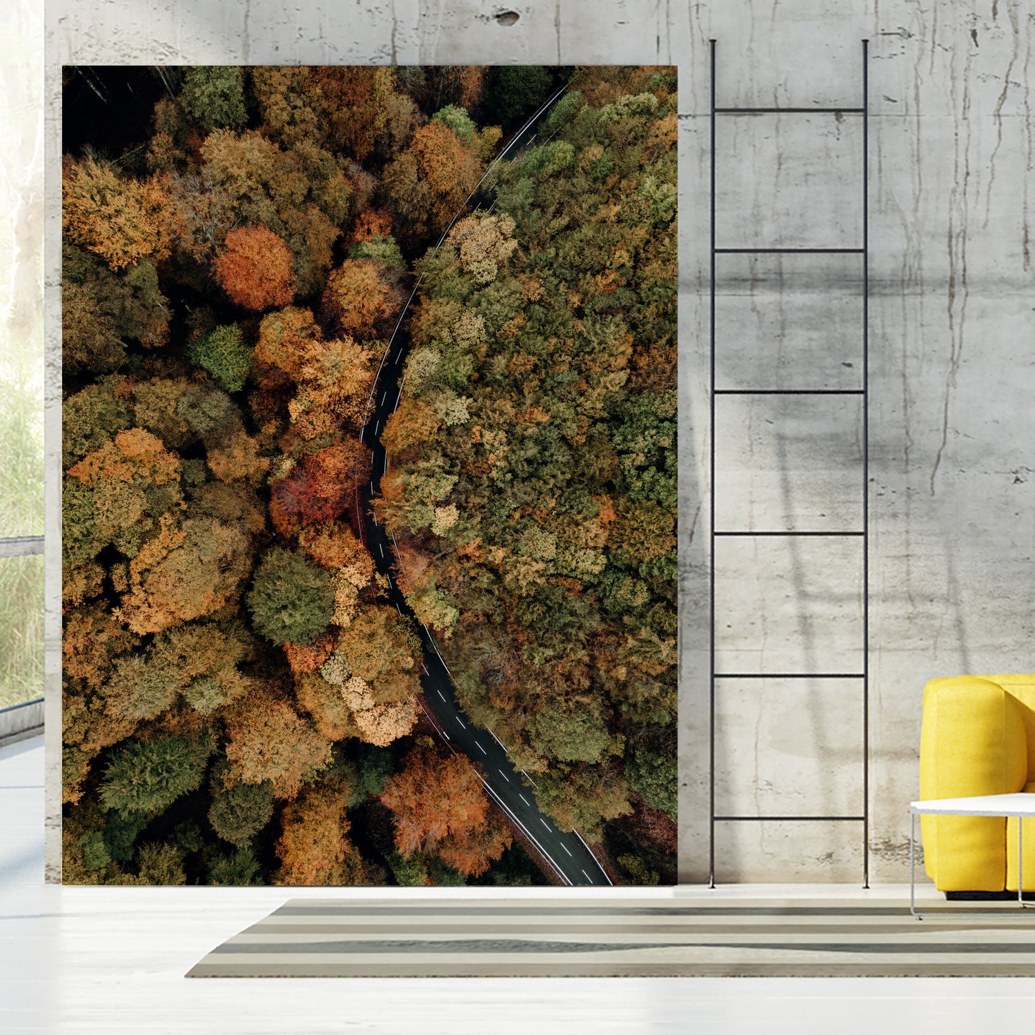 Autumn's Winding Path by Javier Pardina on GIANT ART - forest landscape forest