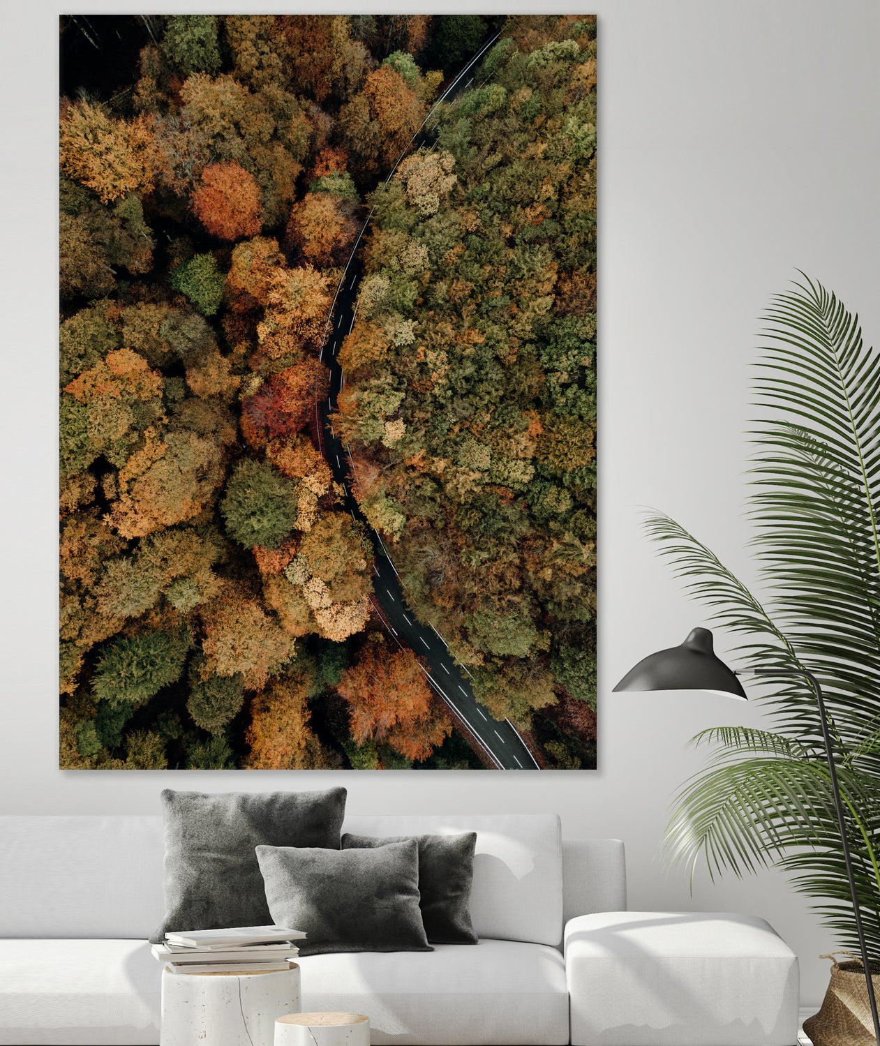 Autumn's Winding Path by Javier Pardina on GIANT ART - forest landscape forest