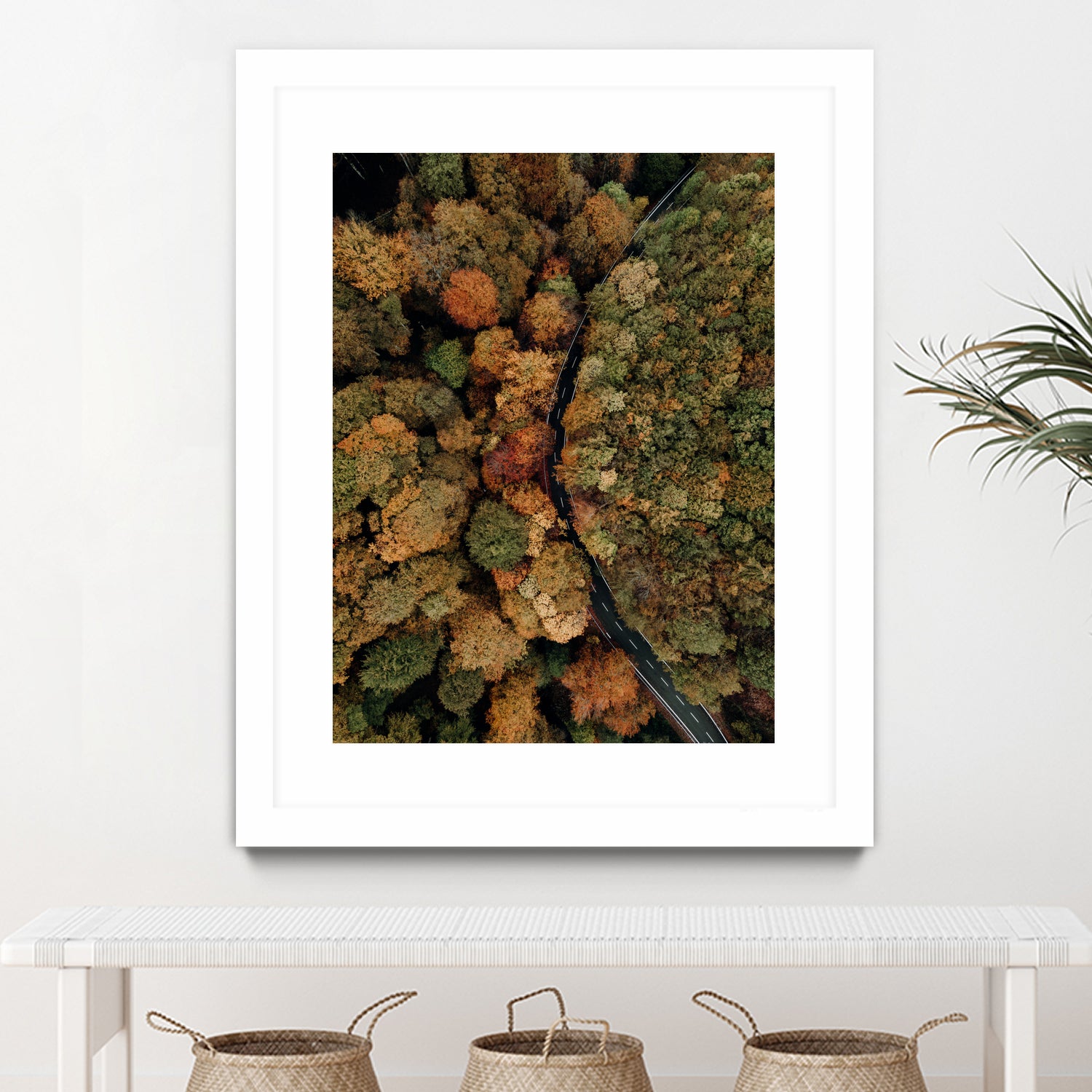 Autumn's Winding Path by Javier Pardina on GIANT ART - forest landscape forest