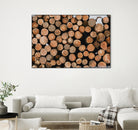 Stacked Timber Beauty by Javier Pardina on GIANT ART - 8192 photography