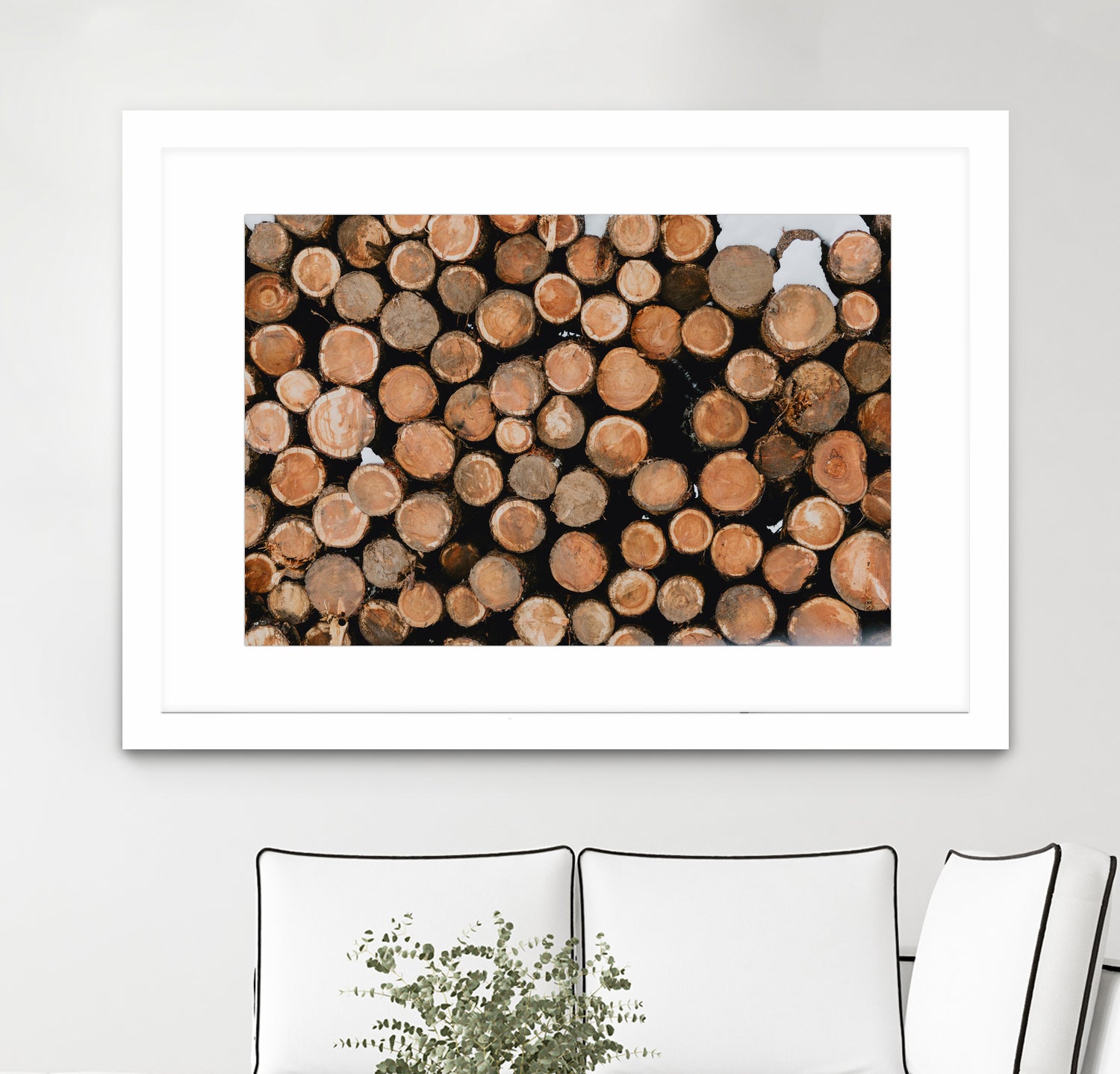 Stacked Timber Beauty by Javier Pardina on GIANT ART - 8192 photography