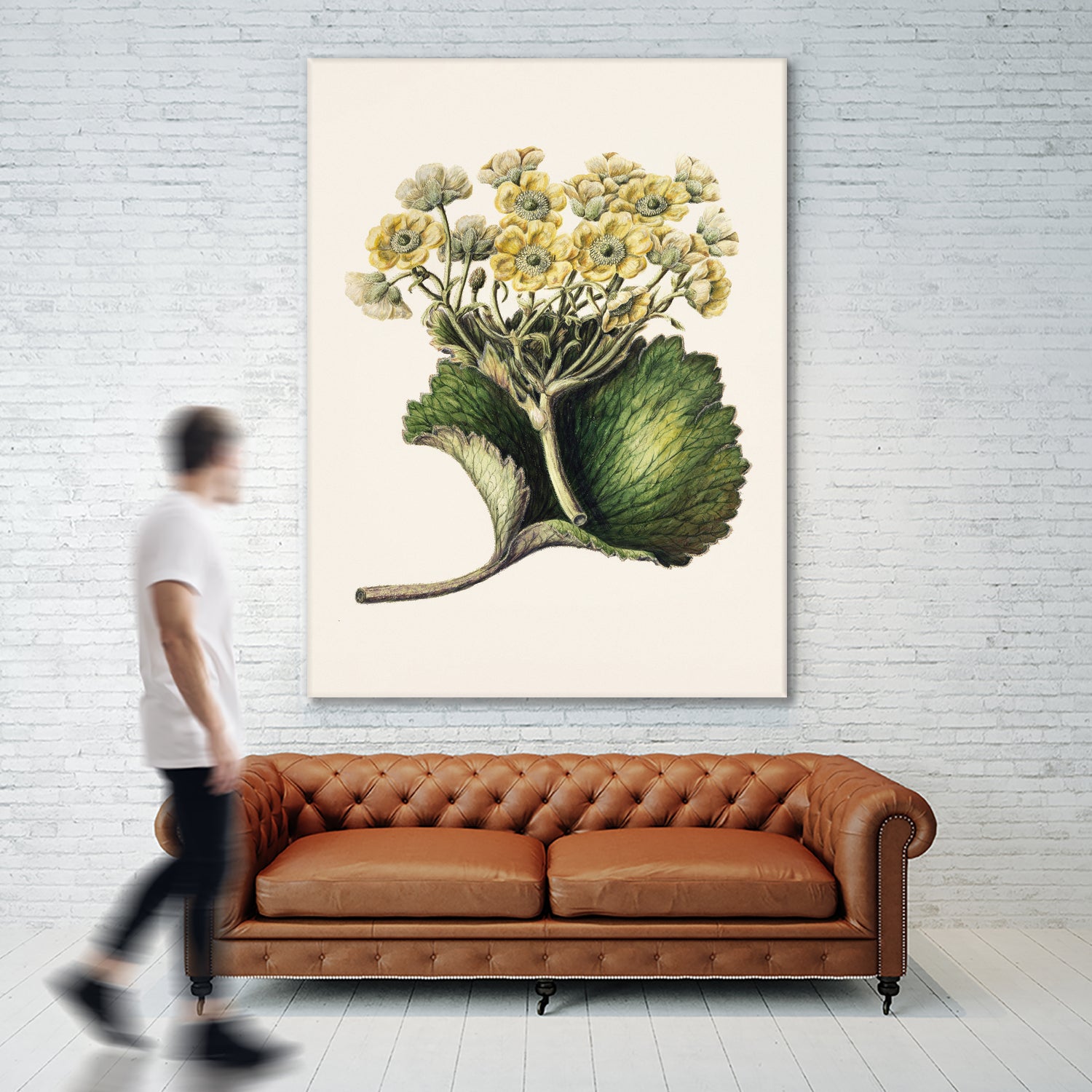 Korikor Drawn By Sarah Featon (1848a€“1927 by Sarah Featon on GIANT ART - flowers and plants vintage botanical