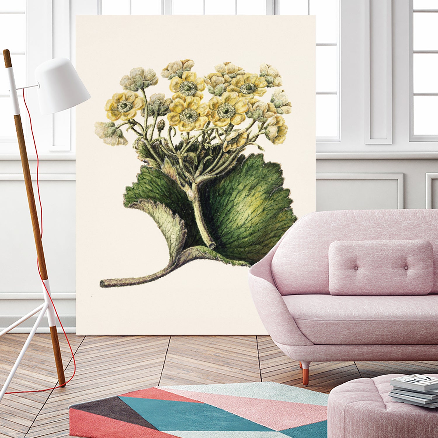 Korikor Drawn By Sarah Featon (1848a€“1927 by Sarah Featon on GIANT ART - flowers and plants vintage botanical