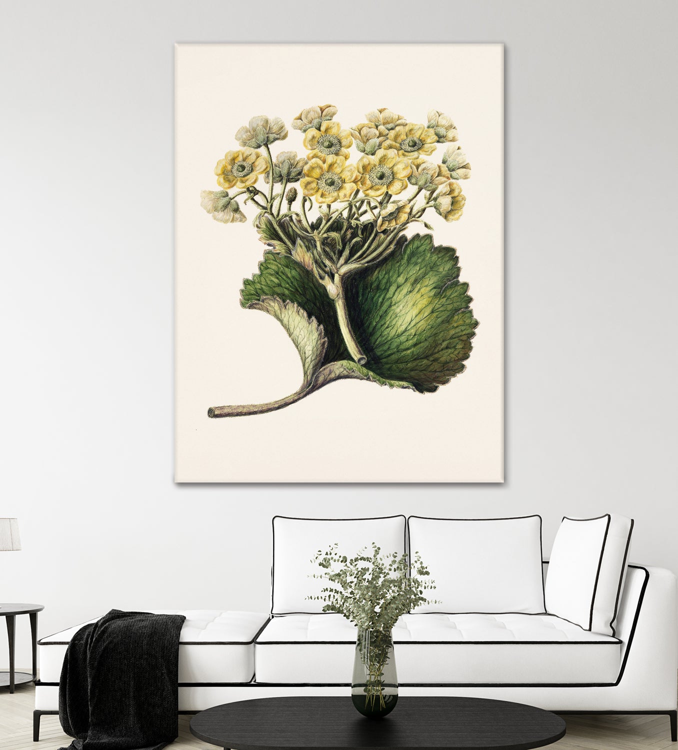 Korikor Drawn By Sarah Featon (1848a€“1927 by Sarah Featon on GIANT ART - flowers and plants vintage botanical