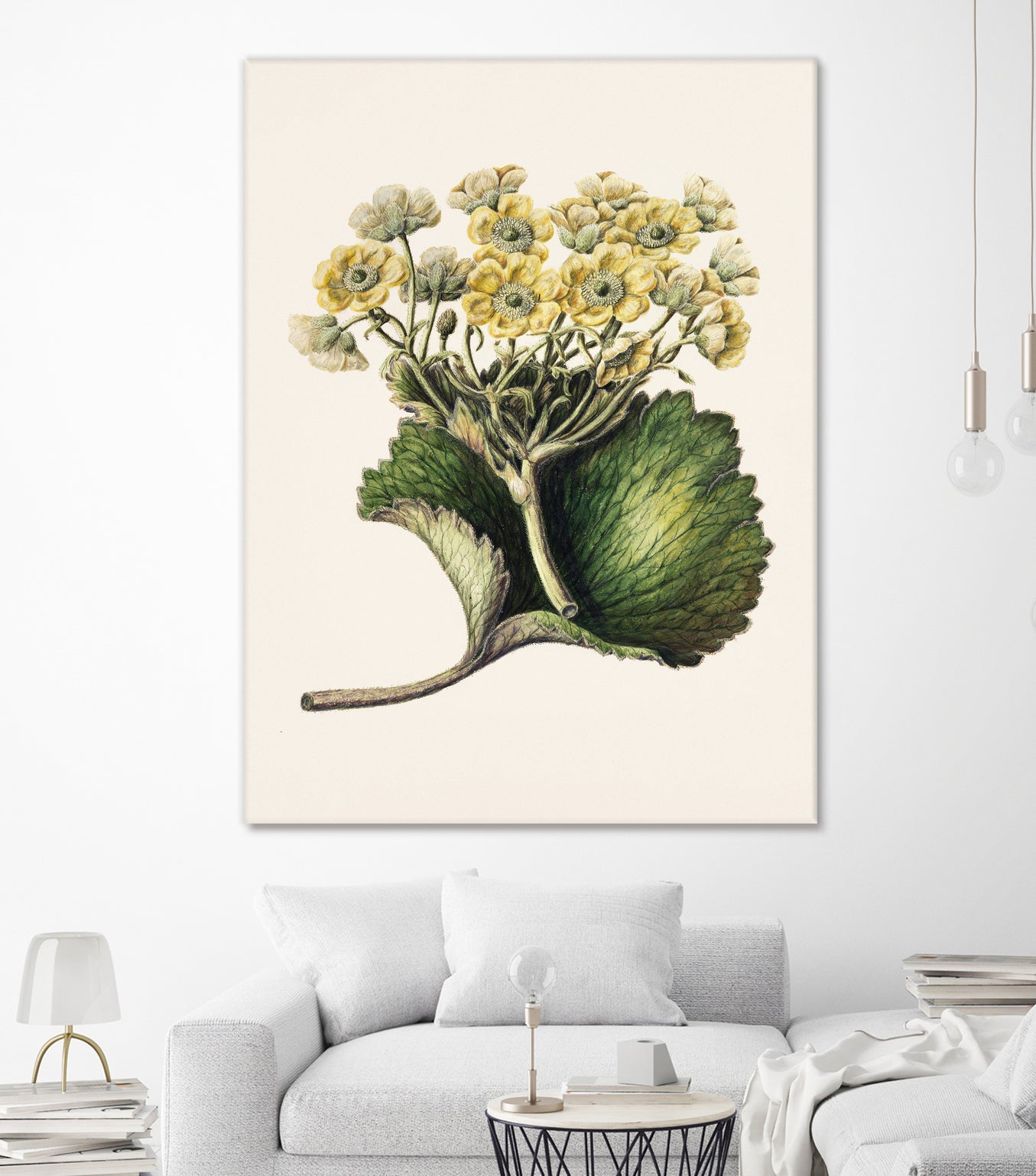 Korikor Drawn By Sarah Featon (1848a€“1927 by Sarah Featon on GIANT ART - flowers and plants vintage botanical