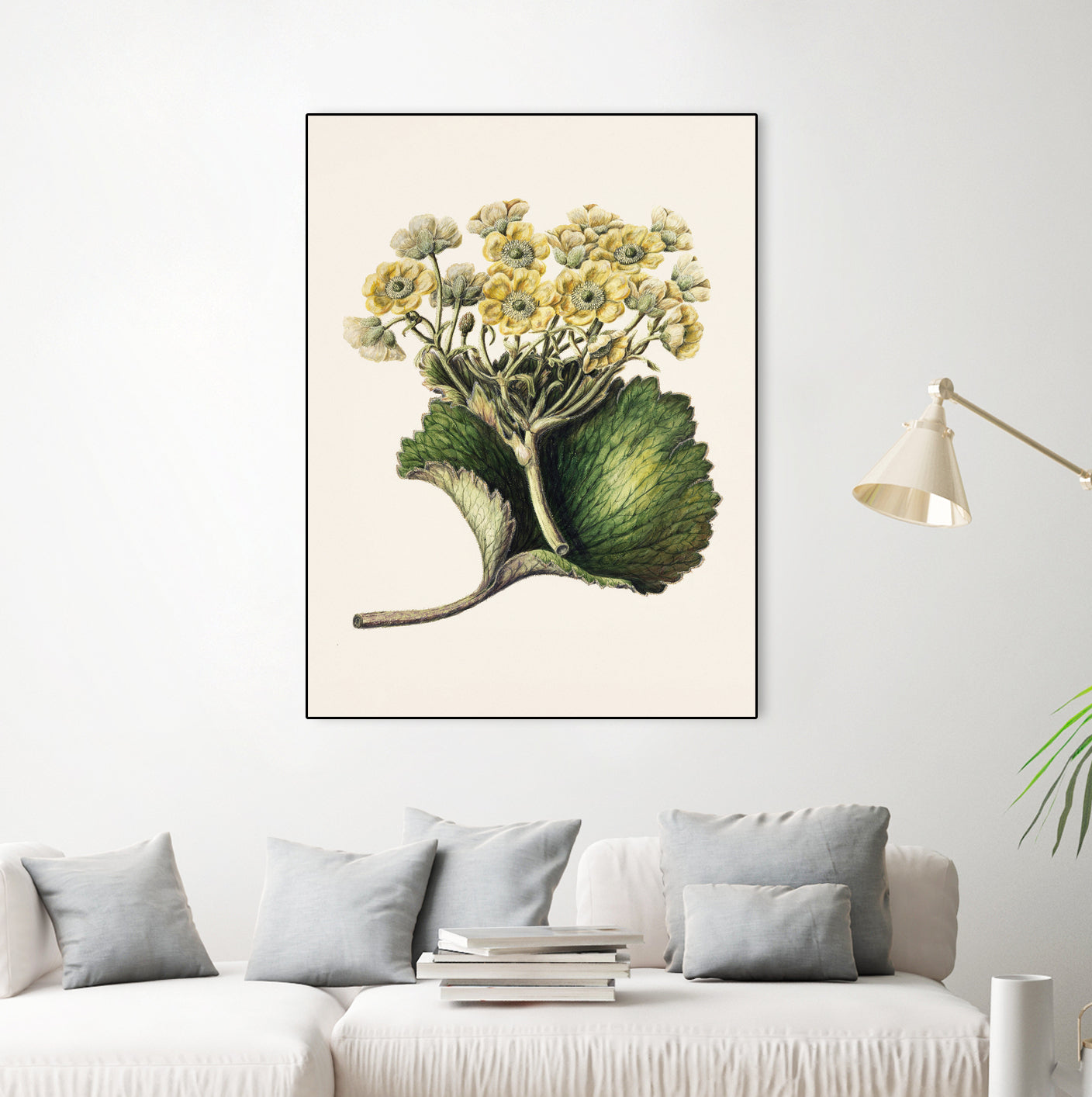 Korikor Drawn By Sarah Featon (1848a€“1927 by Sarah Featon on GIANT ART - flowers and plants vintage botanical