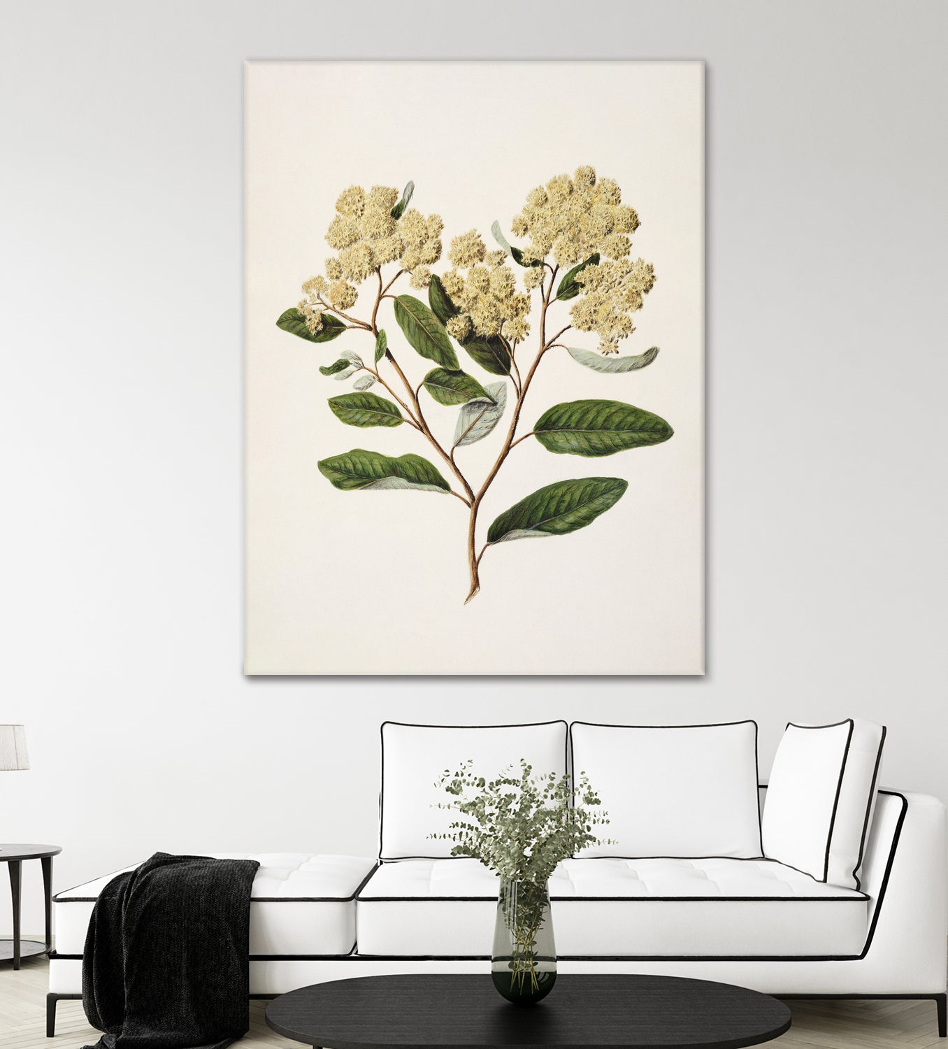 Kumarahou Drawn By Sarah Featon (1848a€“1927 by Sarah Featon on GIANT ART - flowers and plants vintage botanical