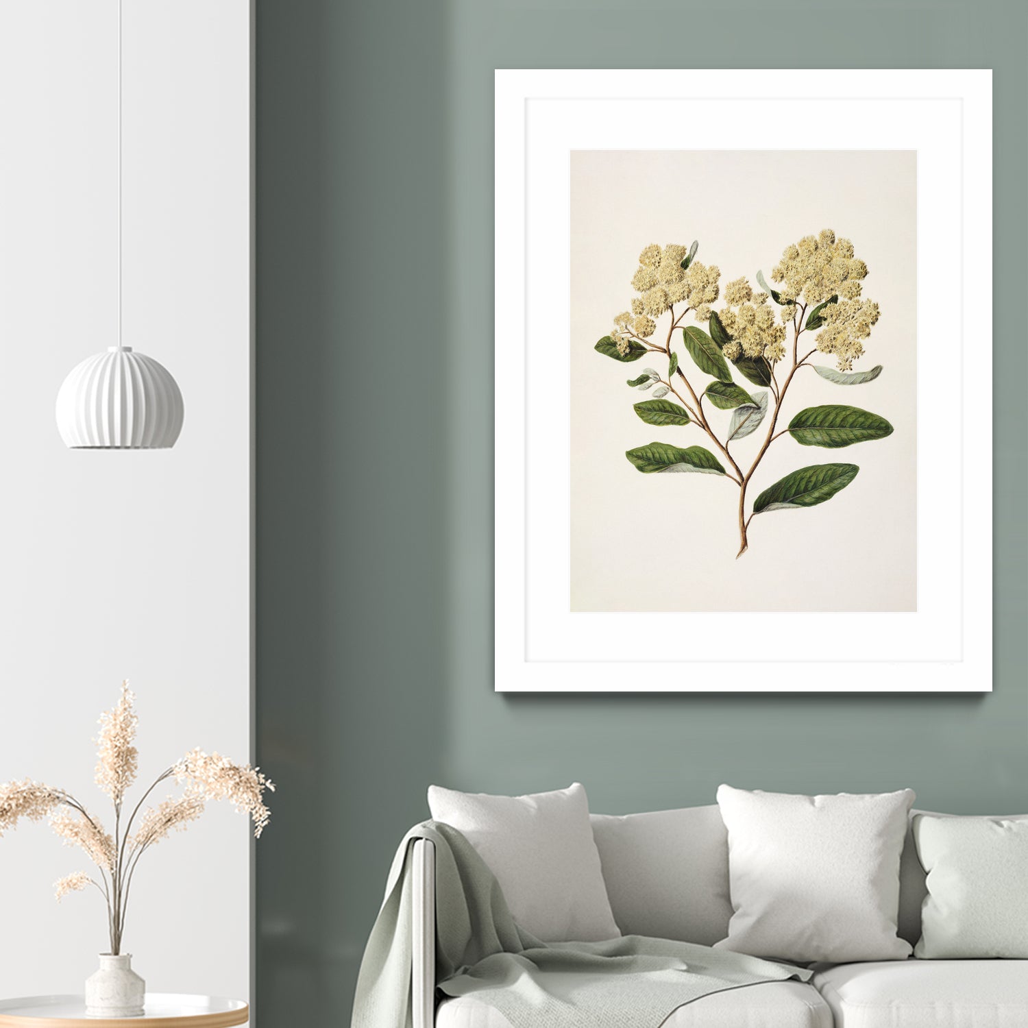 Kumarahou Drawn By Sarah Featon (1848a€“1927 by Sarah Featon on GIANT ART - flowers and plants vintage botanical