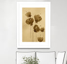 Poppies In Muted Sepia Tones by Santhosh ch on GIANT ART - 11825 illustration