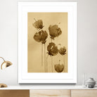 Poppies In Muted Sepia Tones by Santhosh ch on GIANT ART - 11825 illustration