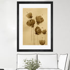 Poppies In Muted Sepia Tones by Santhosh ch on GIANT ART - 11825 illustration