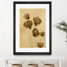 Poppies In Muted Sepia Tones by Santhosh ch on GIANT ART - 11825 illustration