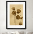 Poppies In Muted Sepia Tones by Santhosh ch on GIANT ART - 11825 illustration