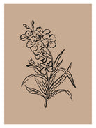 Delicate Blossoms by Treechild on GIANT ART - 7200 photography