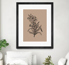 Delicate Blossoms by Treechild on GIANT ART - 7200 photography