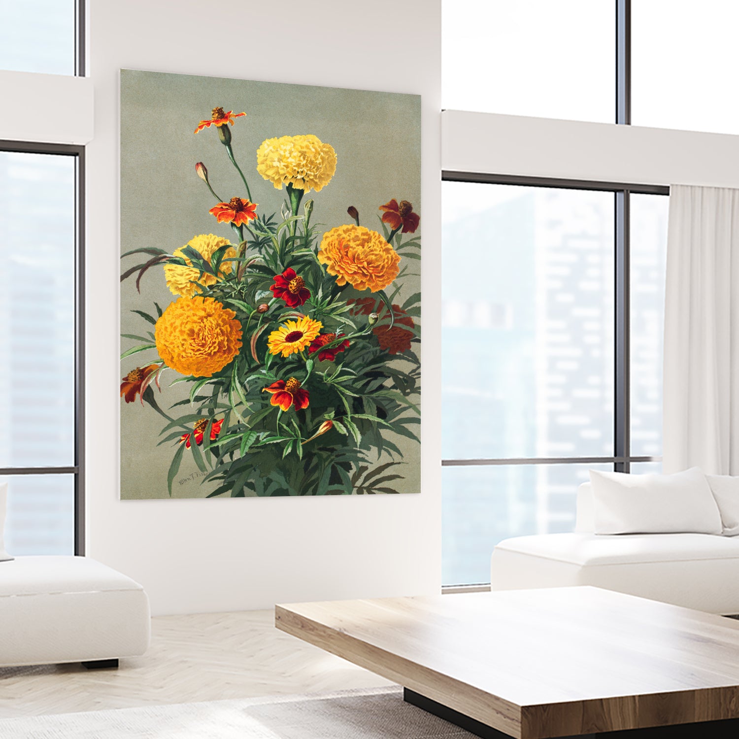 Marigolds by Ellen Thayer Fisher on GIANT ART - illustration ellen thayer fisher